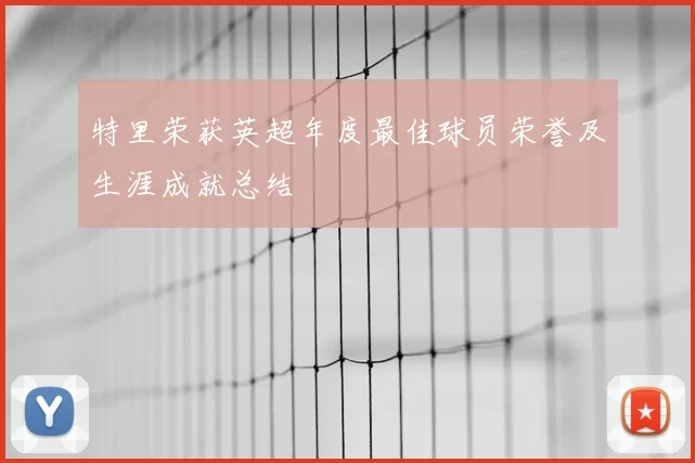 特里荣获英超年度最佳球员荣誉及生涯成就总结