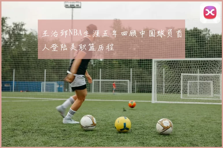王治郅NBA生涯五年回顾中国球员首人登陆美职篮历程