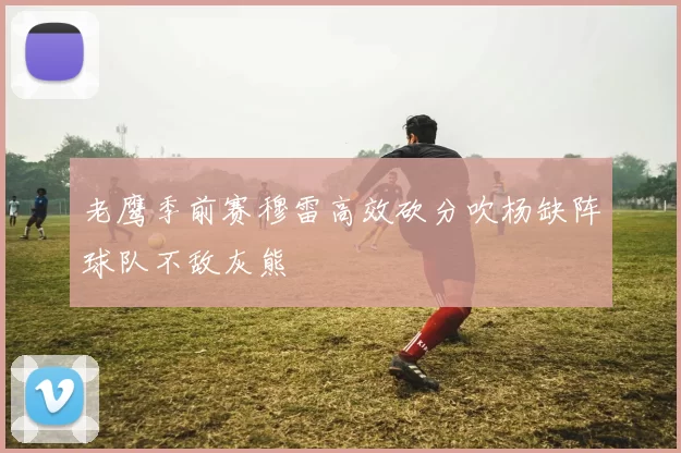 老鹰季前赛穆雷高效砍分吹杨缺阵球队不敌灰熊