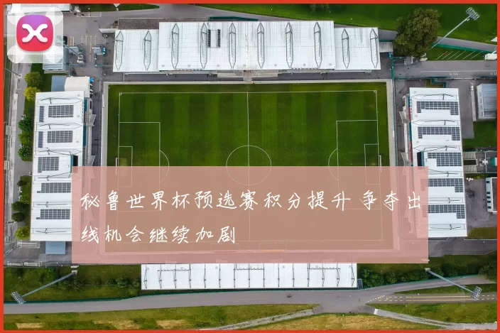 秘鲁世界杯预选赛积分提升 争夺出线机会继续加剧