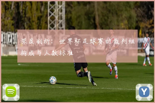 深度剖析:世界杯足球赛的裁判组构成与人数标准
