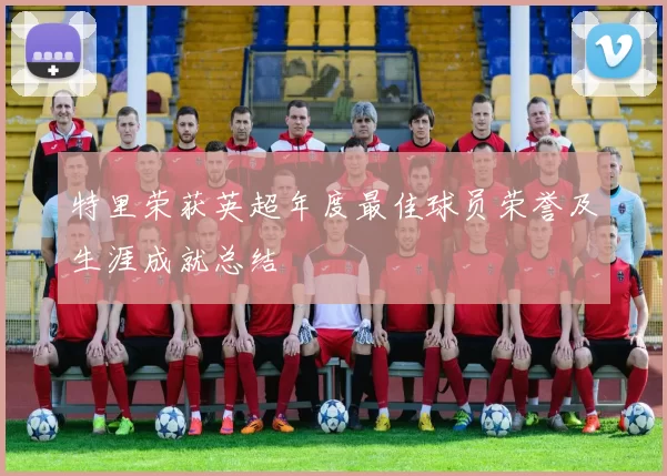 特里荣获英超年度最佳球员荣誉及生涯成就总结