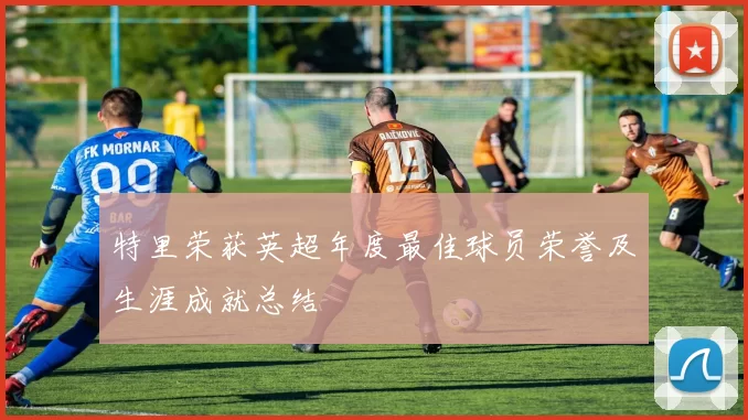 特里荣获英超年度最佳球员荣誉及生涯成就总结