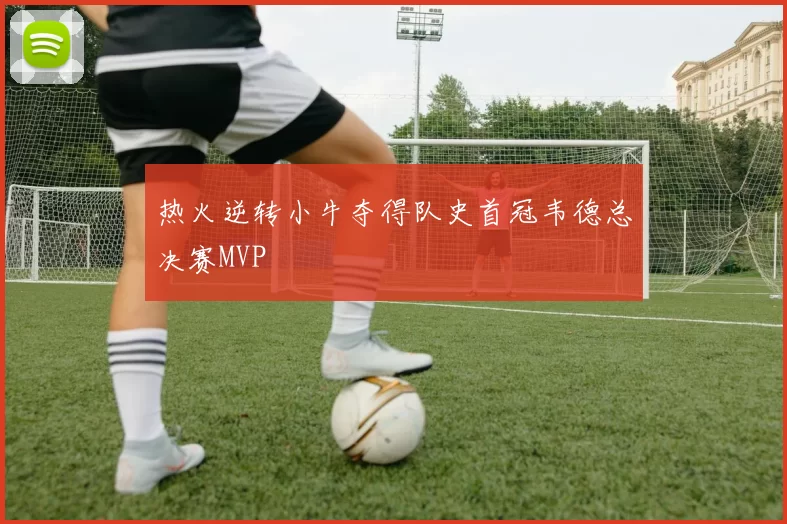 热火逆转小牛夺得队史首冠韦德总决赛MVP