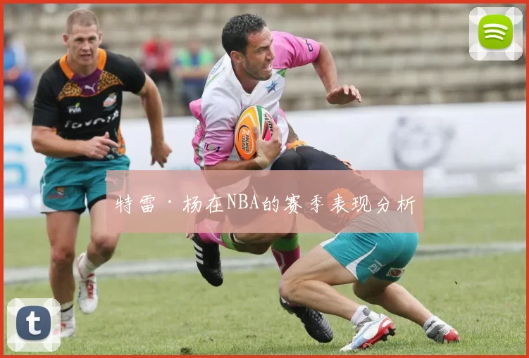 特雷·杨在NBA的赛季表现分析