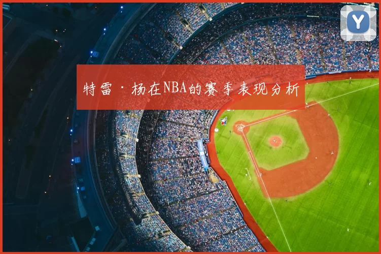 特雷·杨在NBA的赛季表现分析