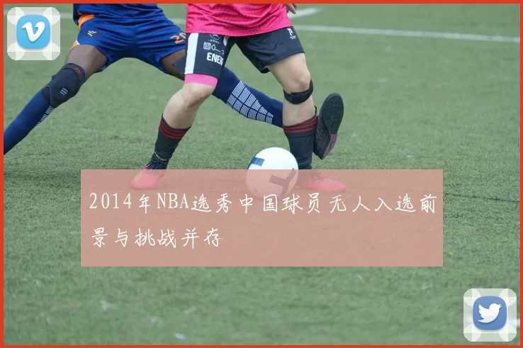 2014年NBA选秀中国球员无人入选前景与挑战并存