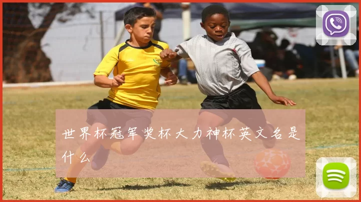 世界杯冠军奖杯大力神杯英文名是什么