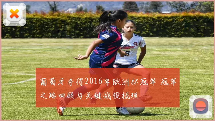 葡萄牙夺得2016年欧洲杯冠军 冠军之路回顾与关键战役梳理