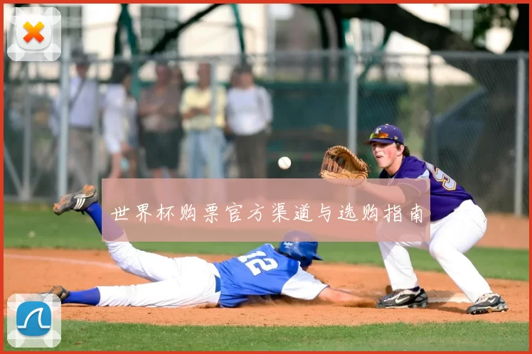 世界杯购票官方渠道与选购指南