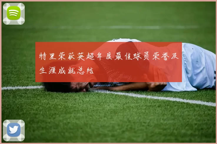 特里荣获英超年度最佳球员荣誉及生涯成就总结