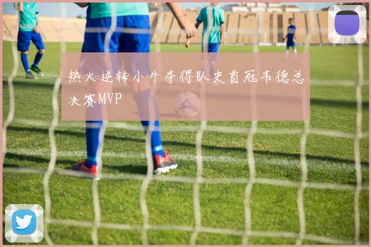 热火逆转小牛夺得队史首冠韦德总决赛MVP