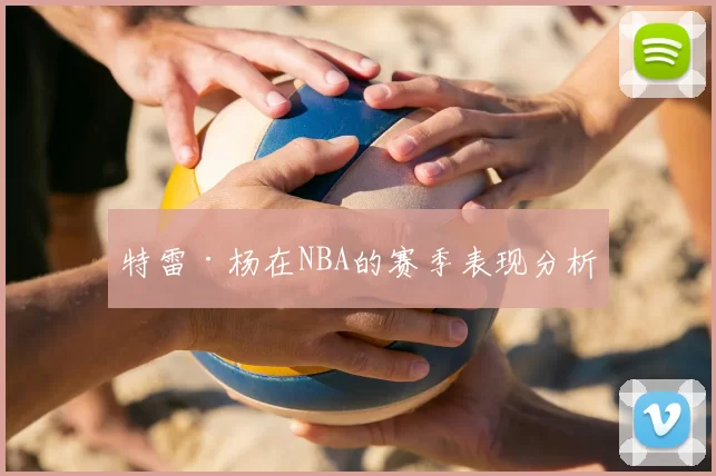 特雷·杨在NBA的赛季表现分析