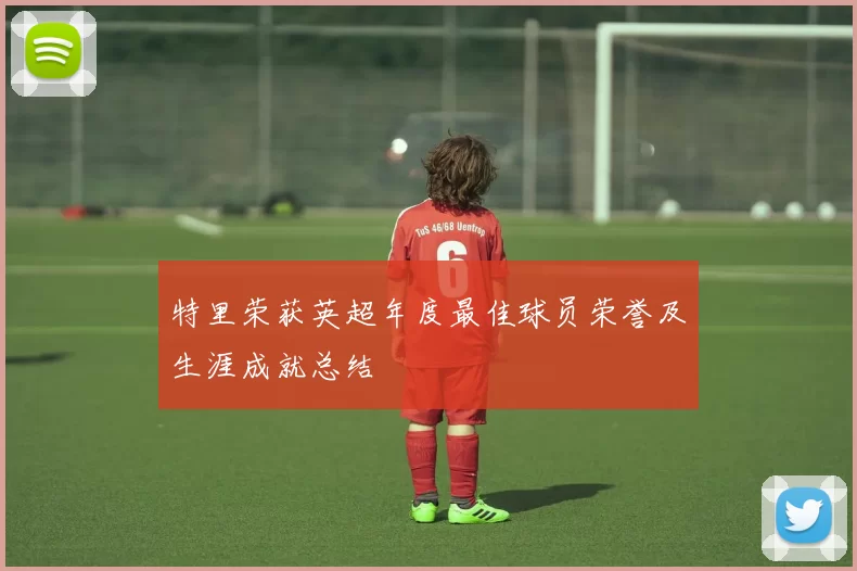 特里荣获英超年度最佳球员荣誉及生涯成就总结