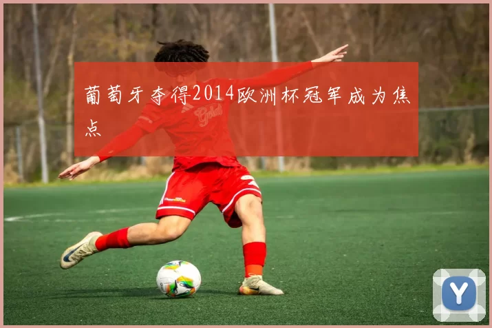 葡萄牙夺得2014欧洲杯冠军成为焦点