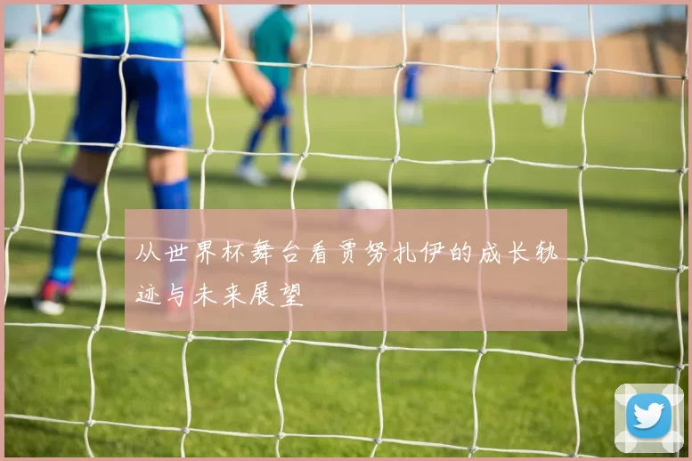 从世界杯舞台看贾努扎伊的成长轨迹与未来展望