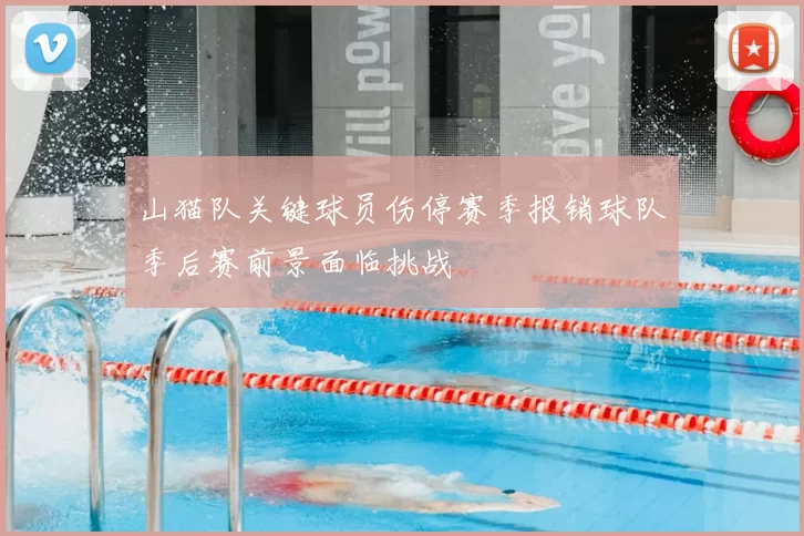 山猫队关键球员伤停赛季报销球队季后赛前景面临挑战