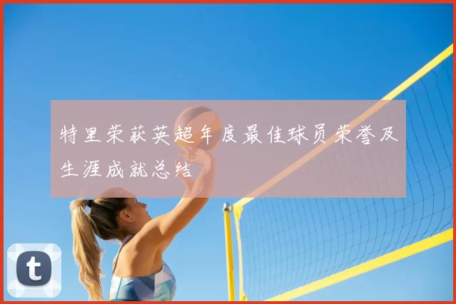 特里荣获英超年度最佳球员荣誉及生涯成就总结