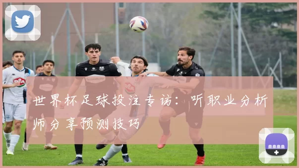 世界杯足球投注专访：听职业分析师分享预测技巧