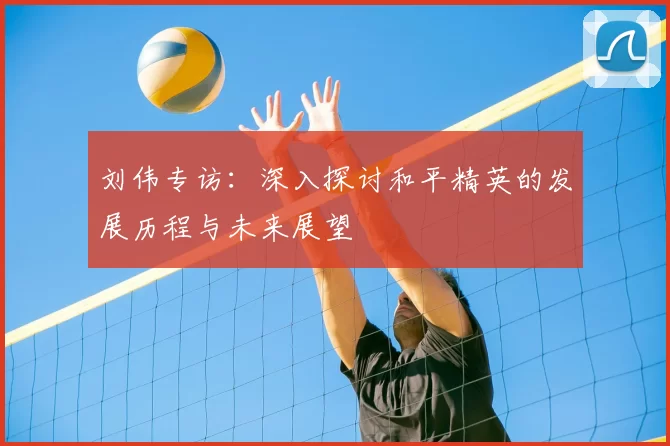 刘伟专访：深入探讨和平精英的发展历程与未来展望