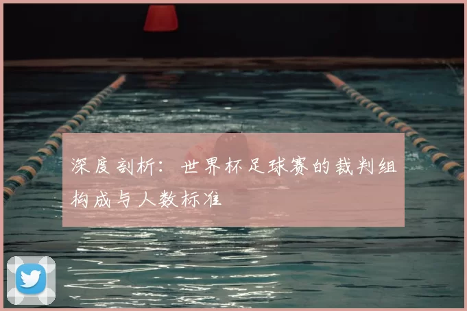 深度剖析：世界杯足球赛的裁判组构成与人数标准