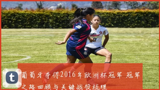 葡萄牙夺得2016年欧洲杯冠军 冠军之路回顾与关键战役梳理