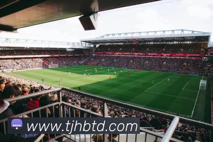 华体会官方平台生态图